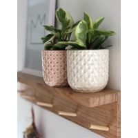 Timotea Deco