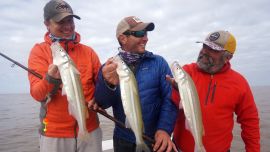 El Río de la Plata nos ofrece excelentes lugares para tentar a las grandes flechas de plata.
