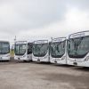 Nuevos buses Scania adquiridos por Grupo Metropol.