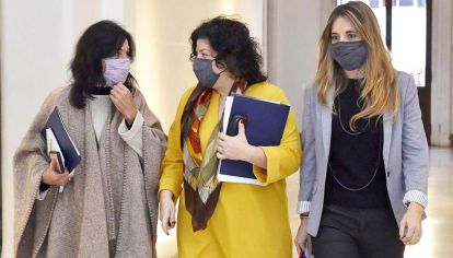 Responsables. Ibarra, Vizzotti y Nicolini salieron ayer a hacer declaraciones radicales.