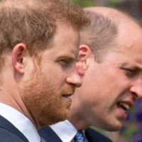 Luego del esperado encuentro entre el príncipe William y Harry, revelan datos que intensifica aún mas su conflicto