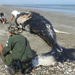 La creación de esta red tiene lugar en el marco de los objetivos propuestos por la Estrategia Nacional Sobre la Biodiversidad 