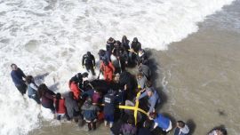 La red permitirá articular las tareas de asistencia y rescate de la fauna marina.