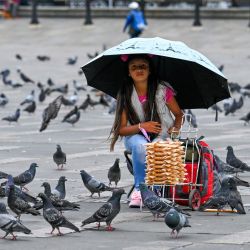 Una niña vende maíz para palomas en la plaza de Bolívar de Bogotá, en medio de la nueva pandemia de coronavirus. | Foto:Juan Barreto / AFP