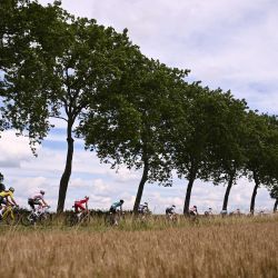 El pelotón marcha durante la 8ª etapa de la 108ª edición del Tour de Francia de ciclismo, 249 km entre Vierzon y Le Creusot. | Foto:Anne-Christine Poujoulat / AFP