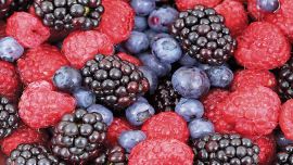 Recolección de frutos en la comarca de El Bolsón.