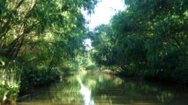 “Bajos del temor” se dio en llamar desde lejanos tiempos, digamos a principios del siglo XX, a una porción de la costa de juncales que señaló y sigue haciendo de límite móvil de la tierra.