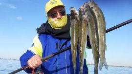 En nuestro caso visitamos el pesquero Luis Rovea.