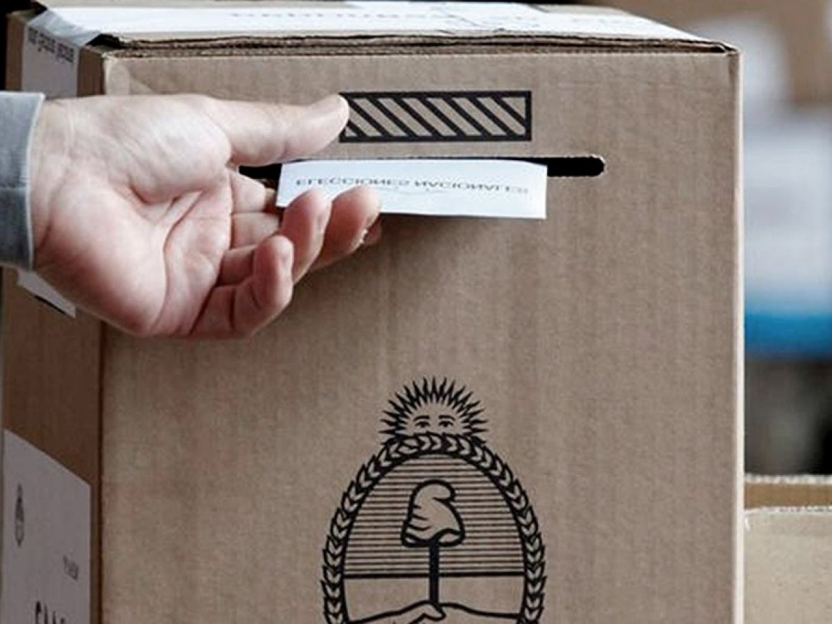 Elecciones Se Definen Las Alianzas Radio Perfil Elecciones Se Definen Las Alianzas Radio Perfil