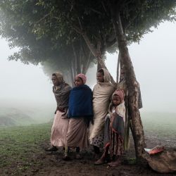 Unos niños permanecen bajo un árbol en el emplazamiento de un futuro campamento para refugiados eritreos, en una zona rural cerca de la aldea de Dabat, a 70 kilómetros al noreste de la ciudad de Gondar, Etiopía. | Foto:Eduardo Soteras / AFP