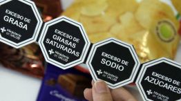 Etiquetado de alimentos: cómo funcionará si se aprueba la ley