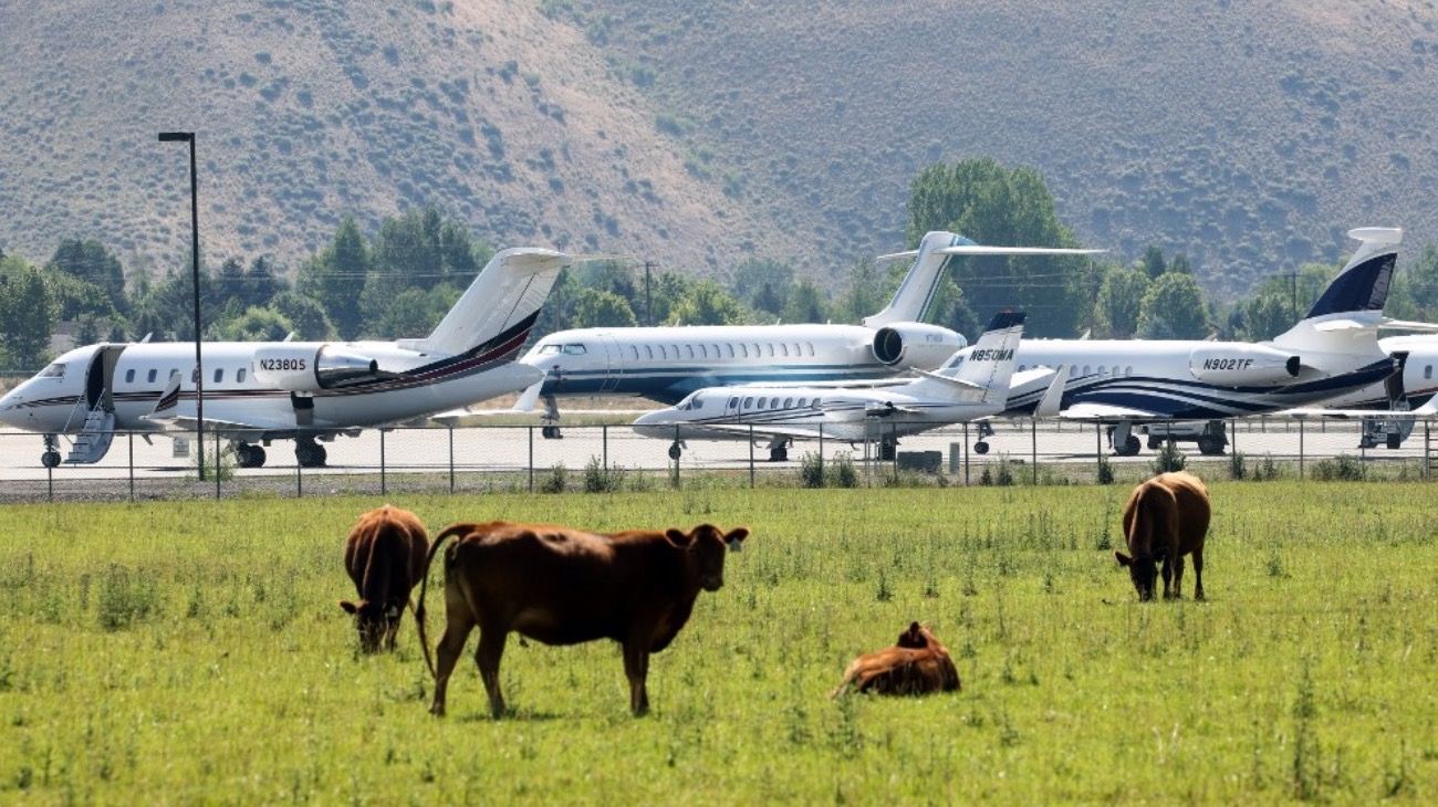 Vacas y jets privados en el aeropuerto de Sun Valley (Idaho).