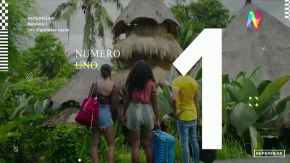Tres realities "puertas adentro" para distraerse en streaming