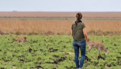 Alicia Delgado es bióloga y trabajó años en la reintroducción del venado de las Pampas en Iberá.