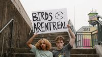 Birds Aren’t Real