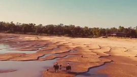 No alcanzaba esa altura desde el año 1969.