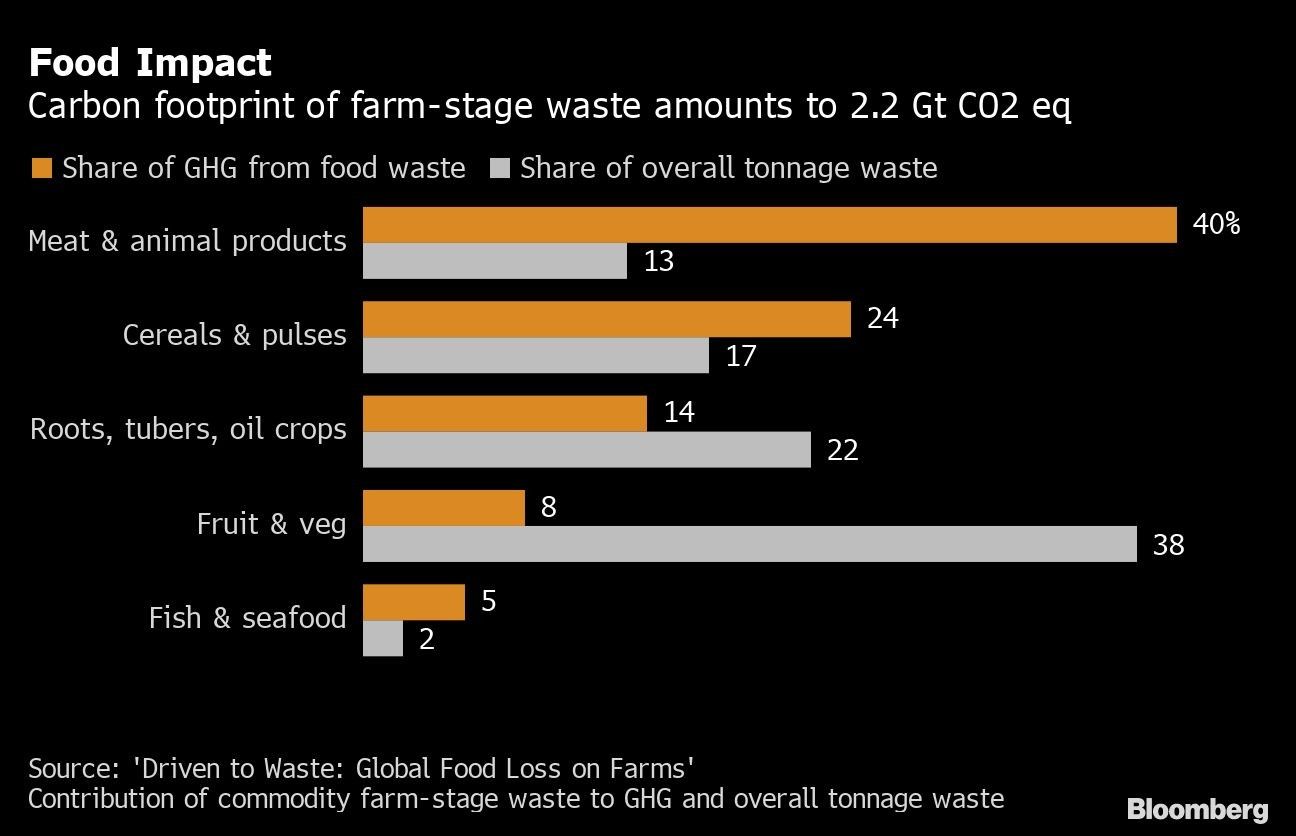 Food Impact