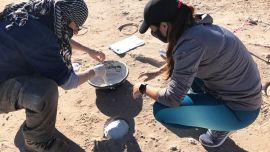 El inesperado hallazgo tuvo lugar en el interior del campus de la Universidad Nacional del Comahue.