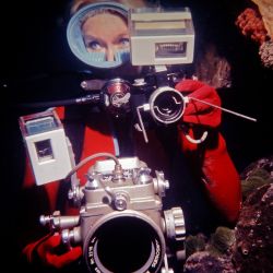 La australiana Valerie Taylor pionera del cine subacuático y de la investigación sobre tiburones protagoniza el nuevo documental de National Geographic..