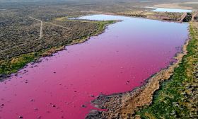 pink lagoon chubut
