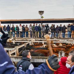 The Liniers Cattle Market is moving to Cañuelas, Buenos Aires Province, after more than a century in Mataderos.