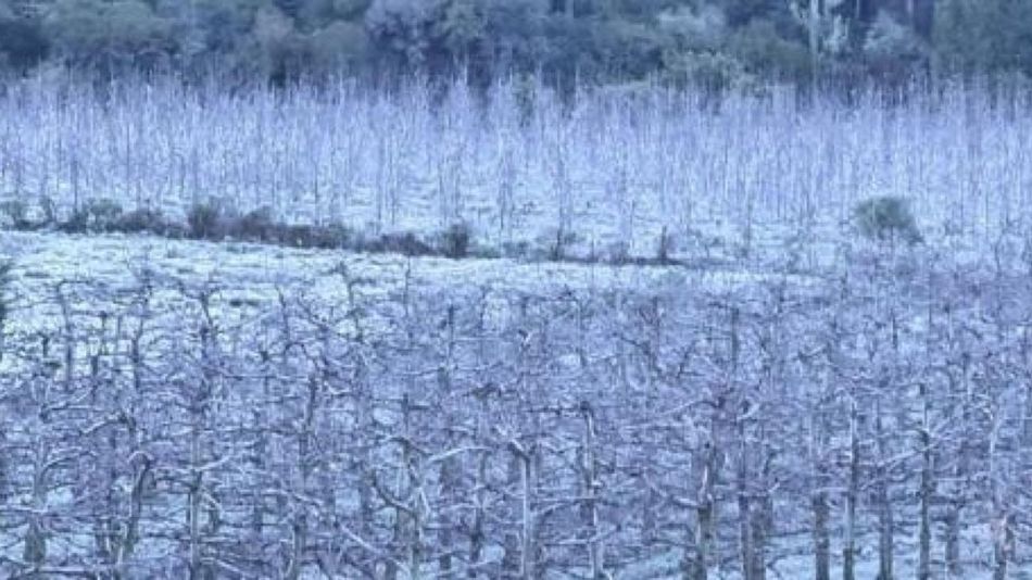 Brasil .frio 20210726