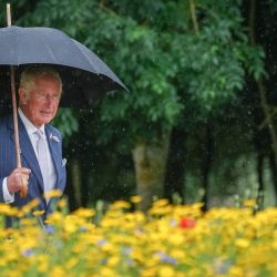 El Príncipe Carlos de Inglaterra, llega para asistir a la ceremonia de dedicación del nuevo monumento nacional a la Policía del Reino Unido en el National Memorial Arboretum de Alrewas, en el centro de Inglaterra. | Foto:Christopher Furlong / POOL / AFP