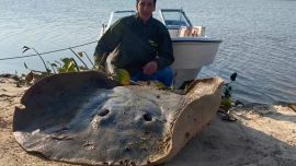 Así está el pique el fin de semana del 30 de julio de 2021