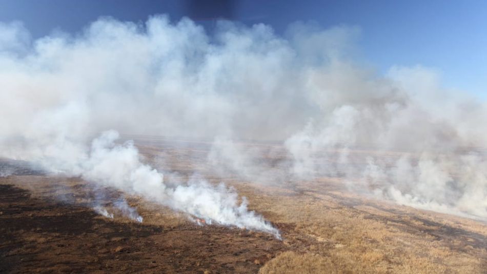 Incendios en islas del Delta del Paraná