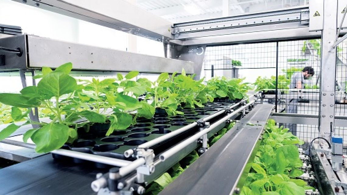 Medicago cut ties with Philip Morris after the rejection of his against the Covid
