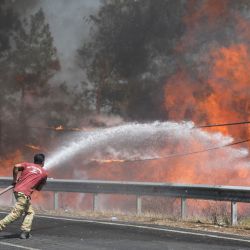 Más de 20.000 hectáreas de bosques, olivares y cultivos fueran devorados por las llamas en Cerdeña durante este pasado fin de semana. 