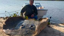 Tras las fotos de rigor en la orilla, con mucho esfuerzo la devolvieron al agua.