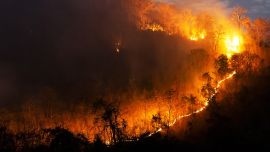 Los incendios forestales tienen en vilo a varios países europeos.