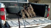 Secuestran cañas, equipos y truchas a pescadores furtivos en Chubut  