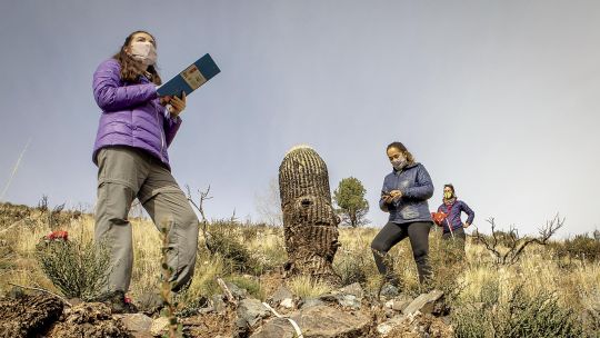 Conocé Sumá Nativas, un proyecto de reforestación nacido de las cenizas en Potrerillos, Mendoza