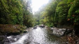 La Selva del Darien 20210804