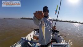 Realmente los piques de pejerreyes no se hicieron esperar y en una de mis líneas logré la primera captura.