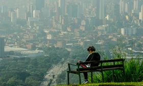 Medellín cities urban jungle