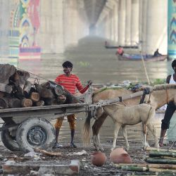 Unas personas trasladan madera cargada en un carro de caballos desde una zona inundada a orillas del río Ganges en Allahabad, mientras el nivel de las aguas de los ríos Ganges y Yamuna aumenta tras las lluvias monzónicas. | Foto:Sanjay Kanojia / AFP