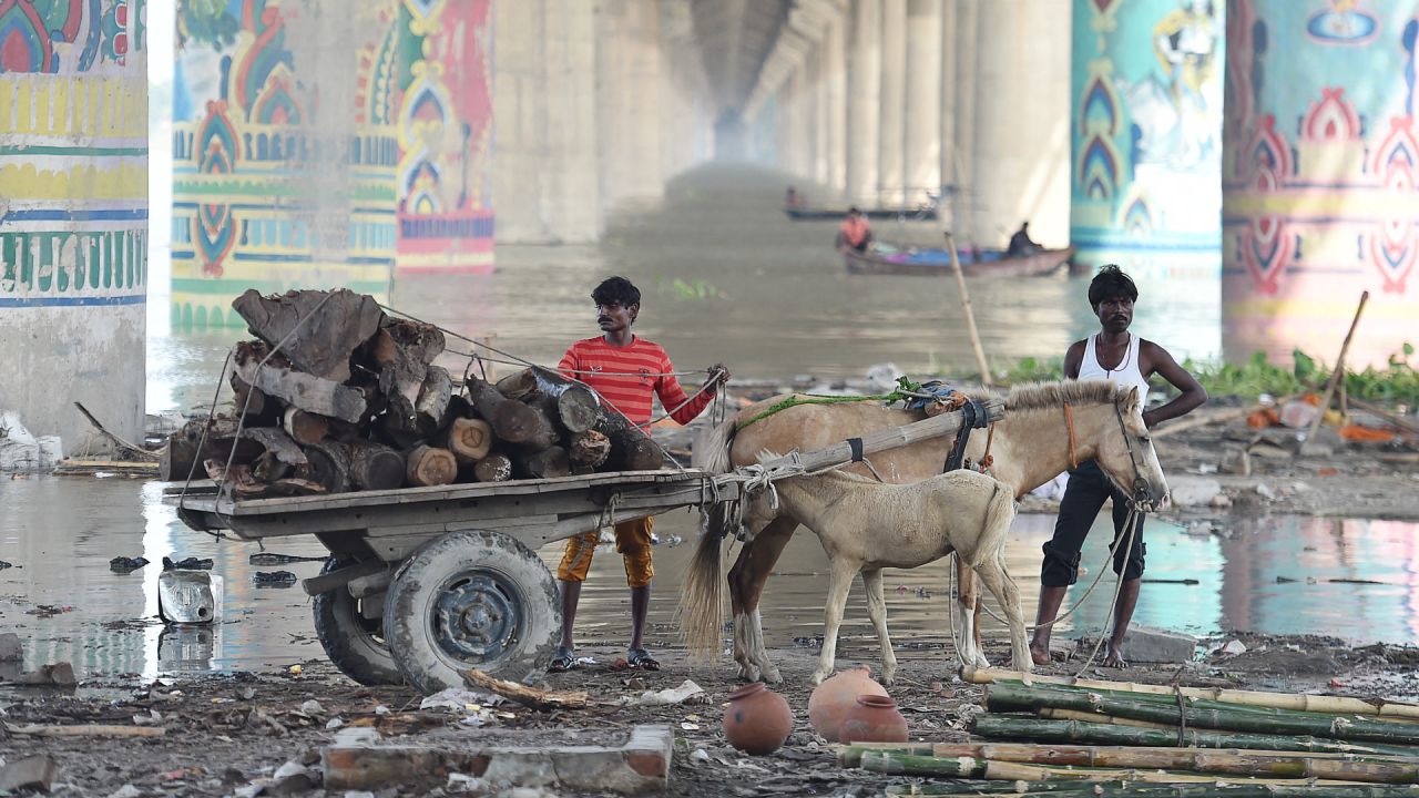 Unas personas trasladan madera cargada en un carro de caballos desde una zona inundada a orillas del río Ganges en Allahabad, mientras el nivel de las aguas de los ríos Ganges y Yamuna aumenta tras las lluvias monzónicas. | Foto:Sanjay Kanojia / AFP