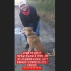 Kumi el perro de Rodrigo Lussich