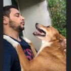 Kumi el perro de Rodrigo Lussich
