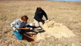 El hallazgo tuvo lugar en la margen este de la laguna Setúbal.