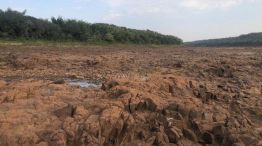  Sequía en el Río Paraná 20210809