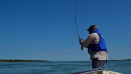 La medida abarca tanto a los ríos Iguazú y Paraná, como también a todos sus afluentes en el ámbito provincial.