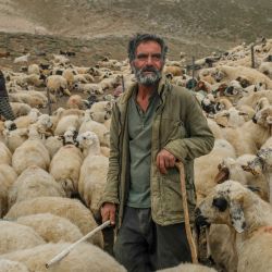 Un pastor se encuentra en medio de un rebaño de ovejas en el altiplano de las  | Foto:Bulent Kilic / AFP