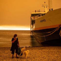 Una mujer con su perro junto a un ferry en el puerto del pueblo de Pefki, durante un incendio forestal en la isla de Eubea, la segunda isla griega más grande. | Foto:Angelos Tzortzinis / AFP