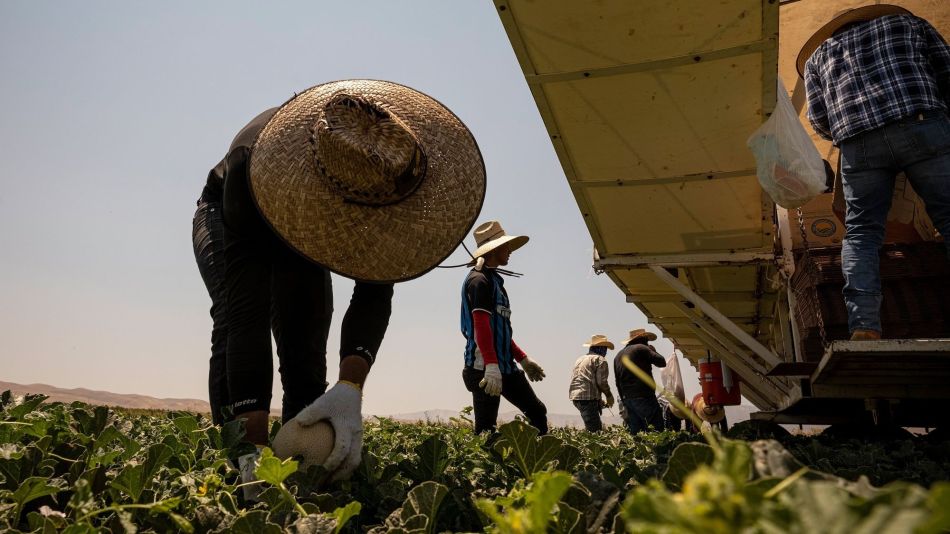 Farm Operations As Californians Are Asked To Use Less Water And Power
