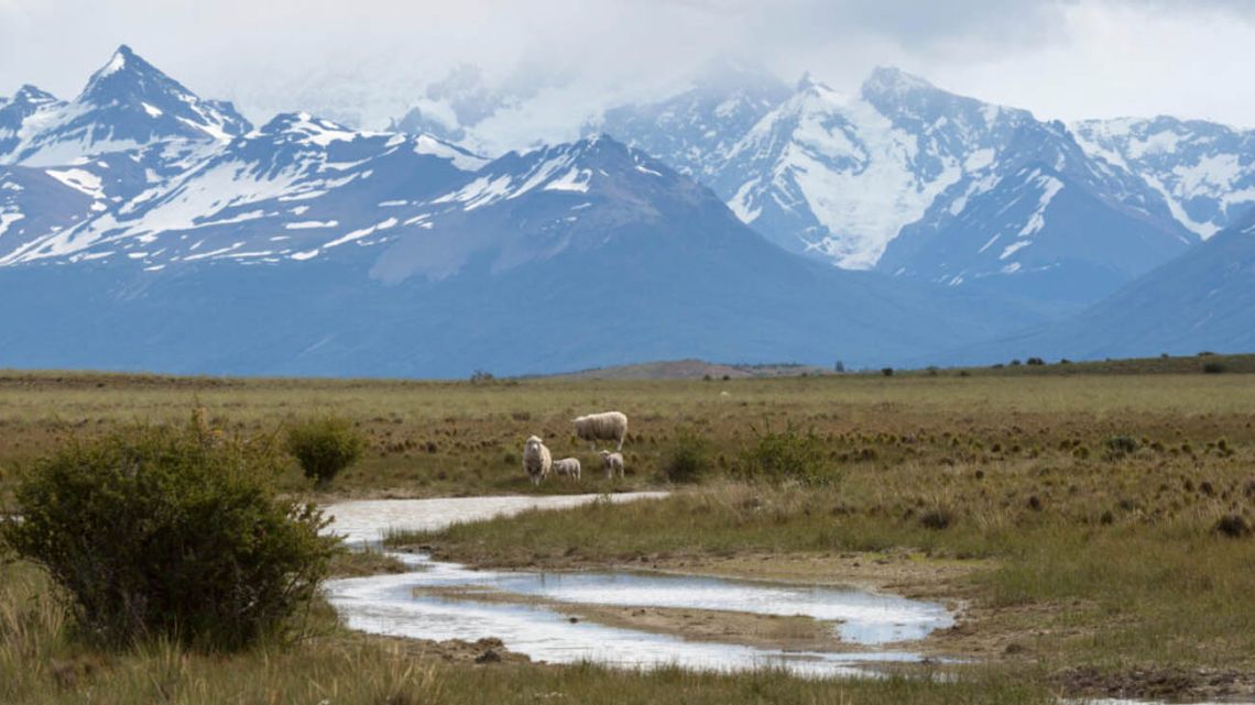 River and sheep below the Andes mountain range in El Calafate, Argentina. Glacier loss is expected to continue in the Andes because of climate change.