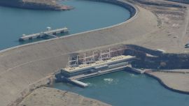 La movida busca preservar la fauna y flora patagónica.